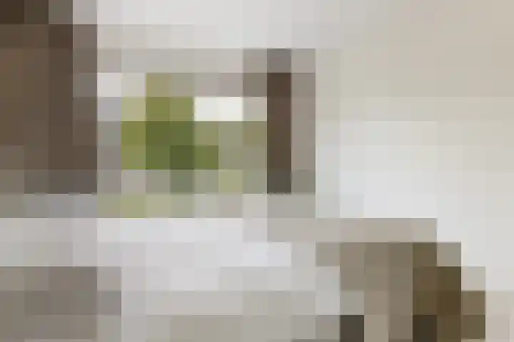 Melissekade 353 Utrecht thumbnail 22