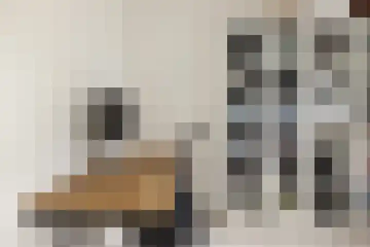 Melissekade 353 Utrecht thumbnail 26