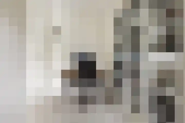 Melissekade 353 Utrecht thumbnail 27