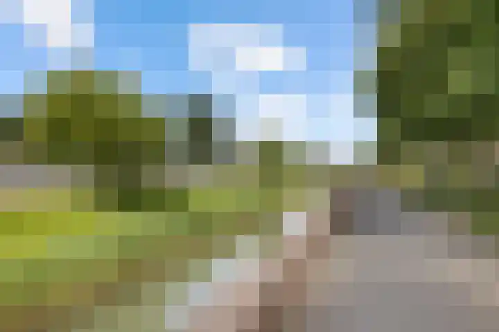 Melissekade 353 Utrecht thumbnail 34