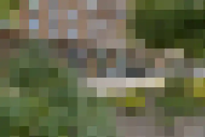 Melissekade 353 Utrecht thumbnail 35
