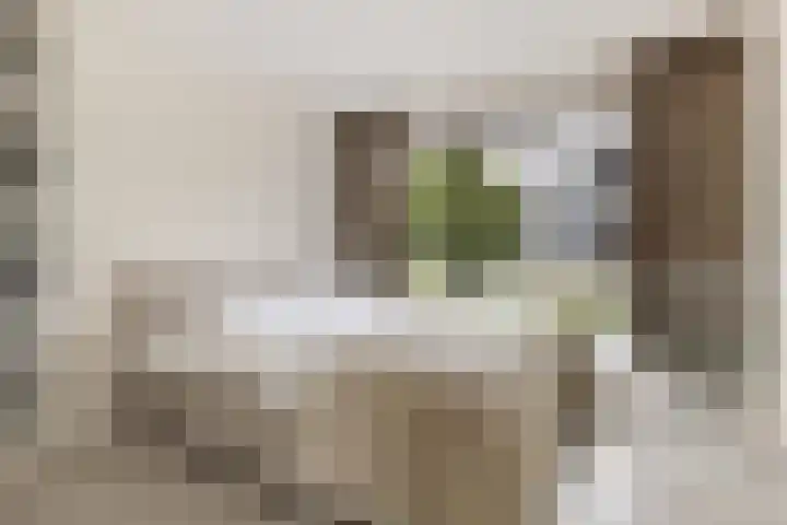 Melissekade 353 Utrecht thumbnail 5