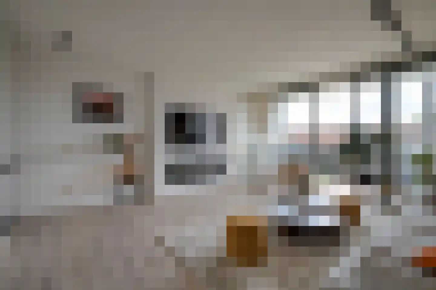 Melissekade 97 Utrecht thumbnail 14
