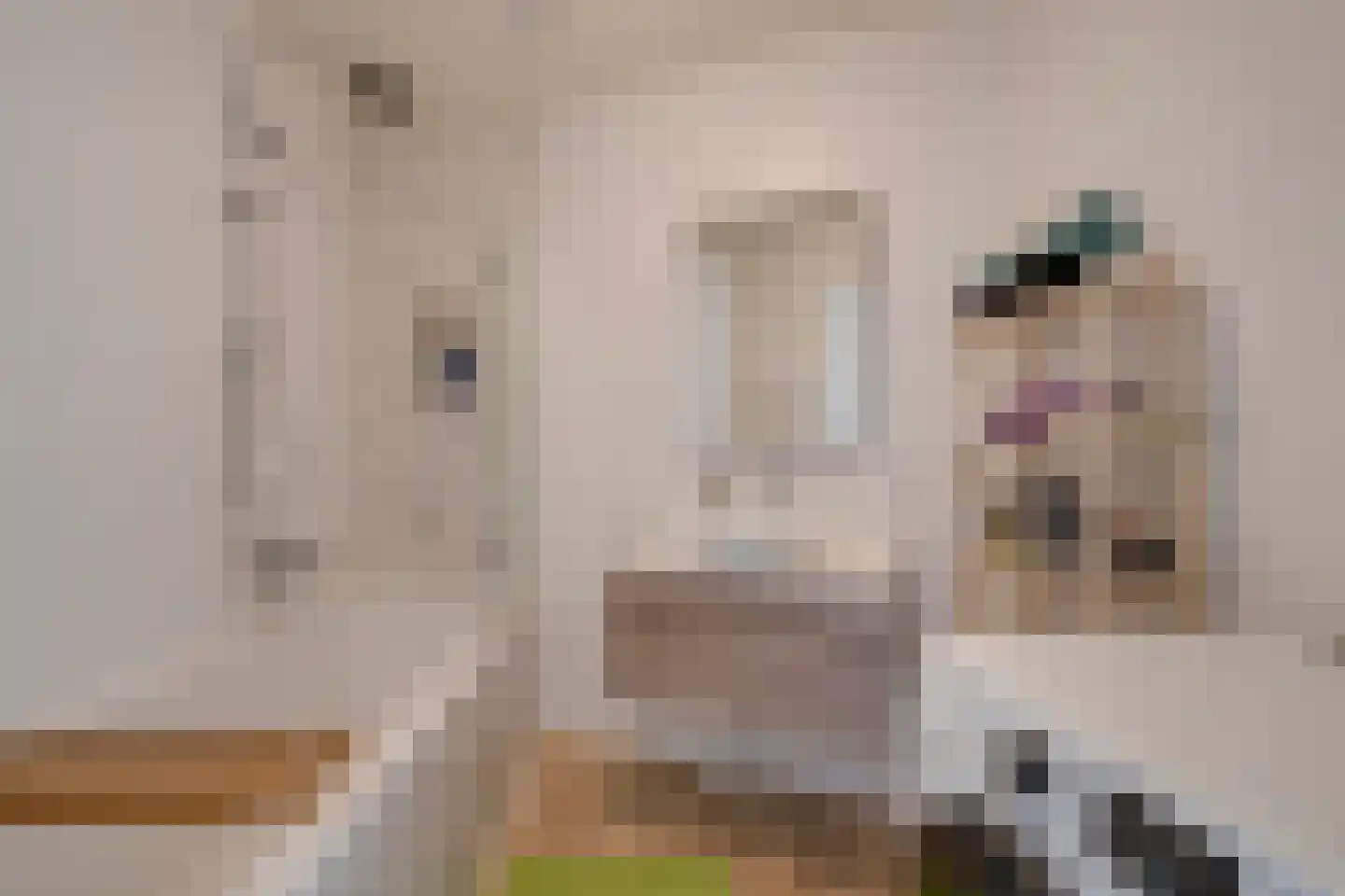 Melissekade 97 Utrecht thumbnail 30