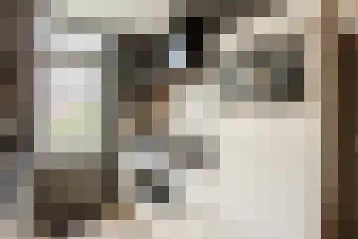 Melissepad 18 Zwolle thumbnail 10