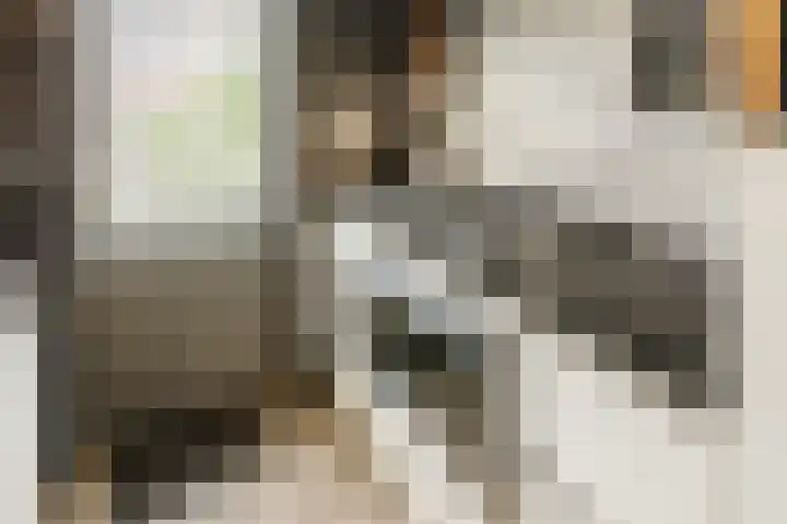Melissepad 18 Zwolle thumbnail 11
