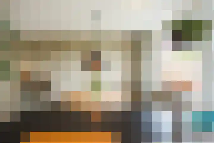 Melissepad 18 Zwolle thumbnail 12