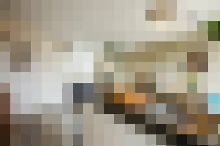 Melissepad 18 Zwolle thumbnail 13