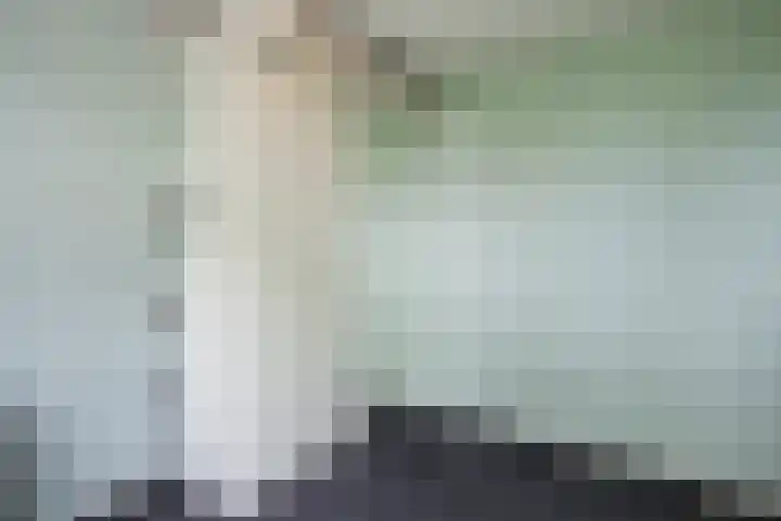 Melissepad 18 Zwolle thumbnail 25