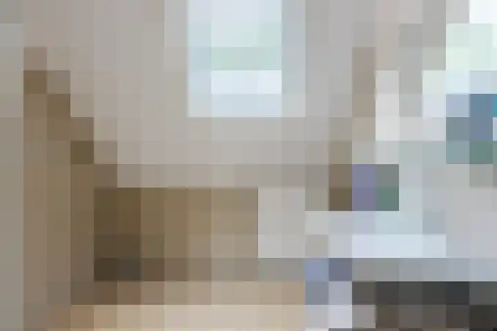 Melissepad 18 Zwolle thumbnail 27