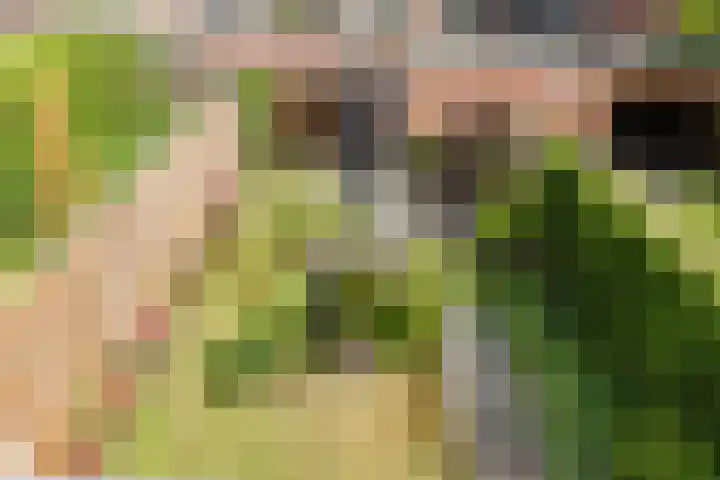 Melissepad 18 Zwolle thumbnail 30