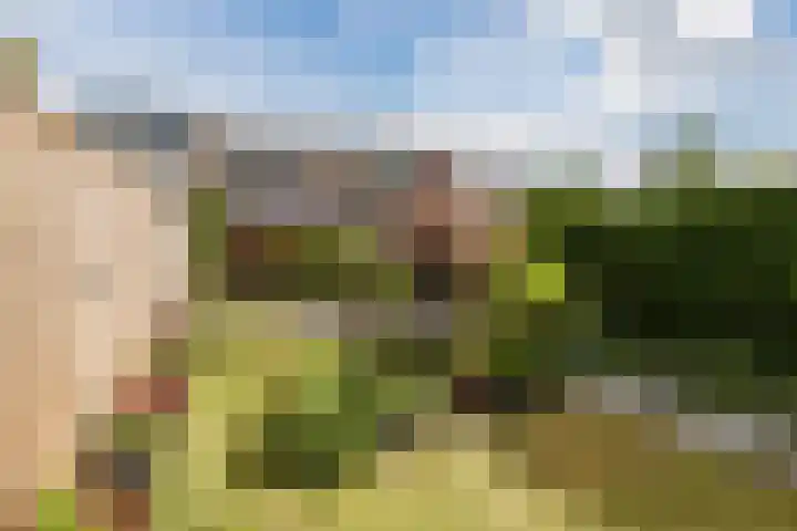 Melissepad 18 Zwolle thumbnail 31
