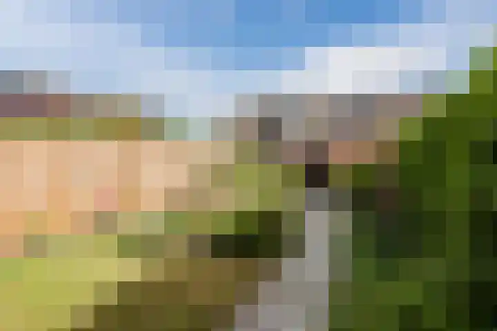 Melissepad 18 Zwolle thumbnail 33