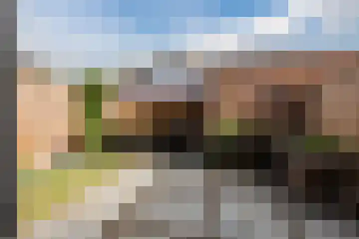 Melissepad 18 Zwolle thumbnail 34