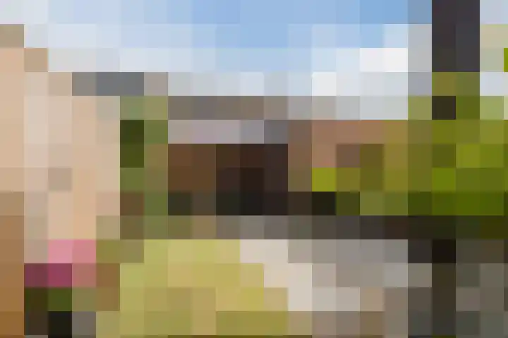 Melissepad 18 Zwolle thumbnail 35