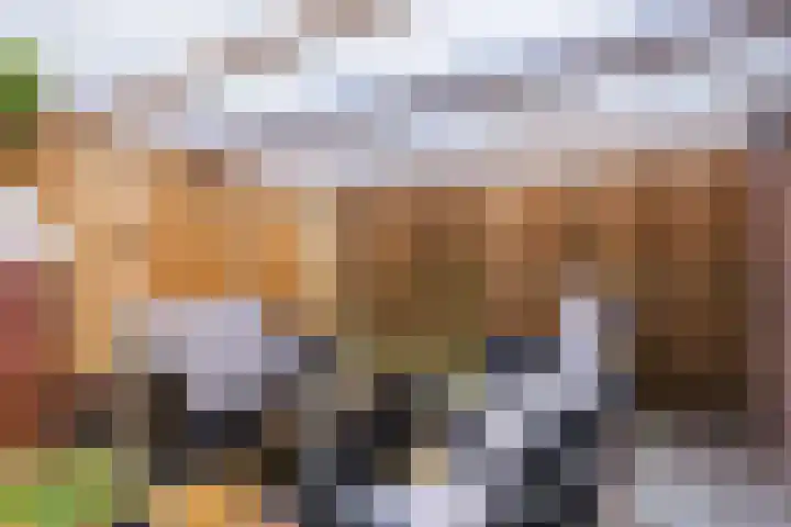 Melissepad 18 Zwolle thumbnail 36
