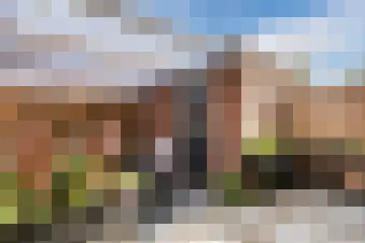 Melissepad 18 Zwolle thumbnail 37
