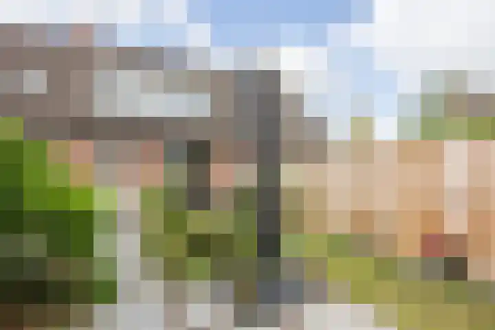 Melissepad 18 Zwolle thumbnail 38