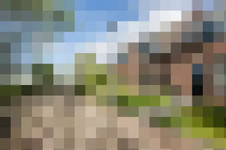 Melissepad 18 Zwolle thumbnail 40