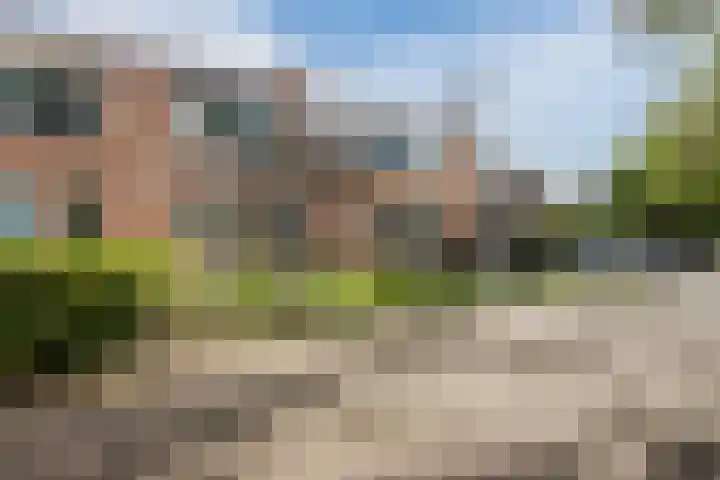 Melissepad 18 Zwolle thumbnail 41