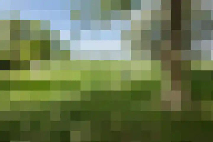 Melissepad 18 Zwolle thumbnail 43