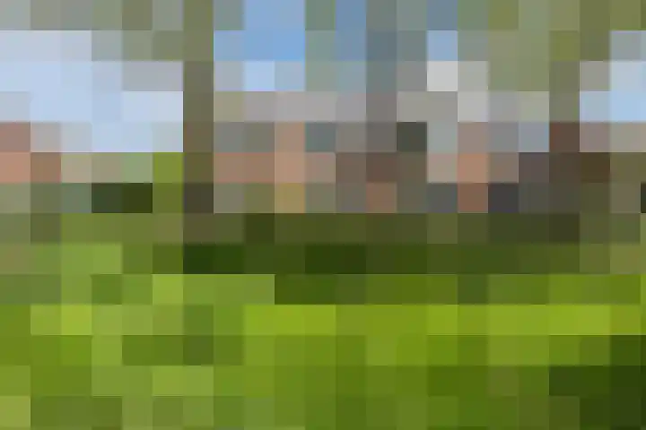 Melissepad 18 Zwolle thumbnail 44