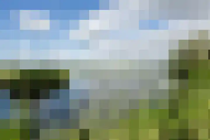 Melissepad 18 Zwolle thumbnail 45