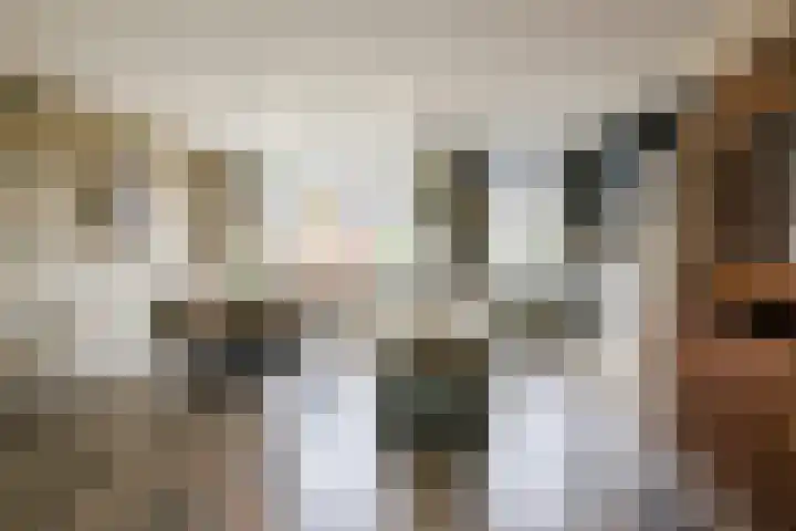 Melissepad 18 Zwolle thumbnail 5