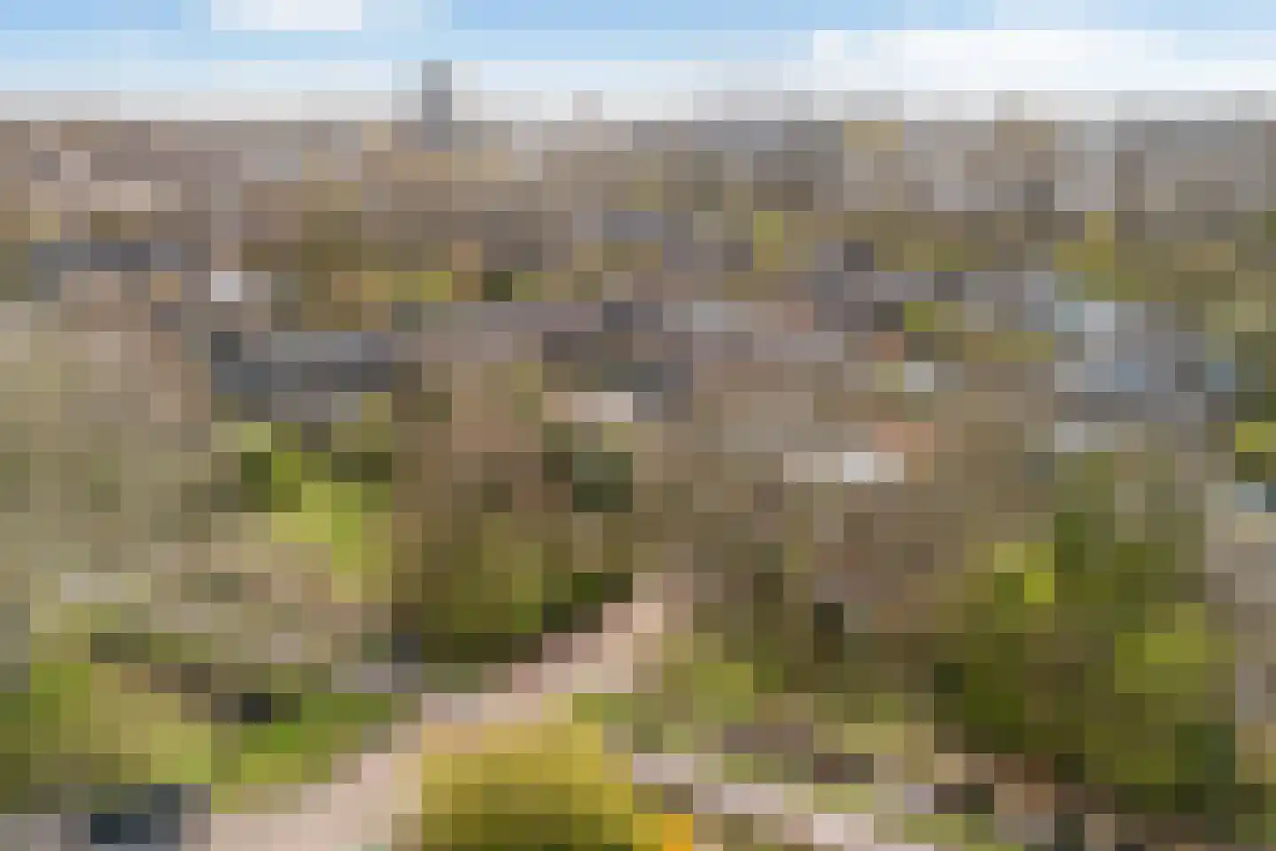 Melissetuin 6 Leiden thumbnail 5