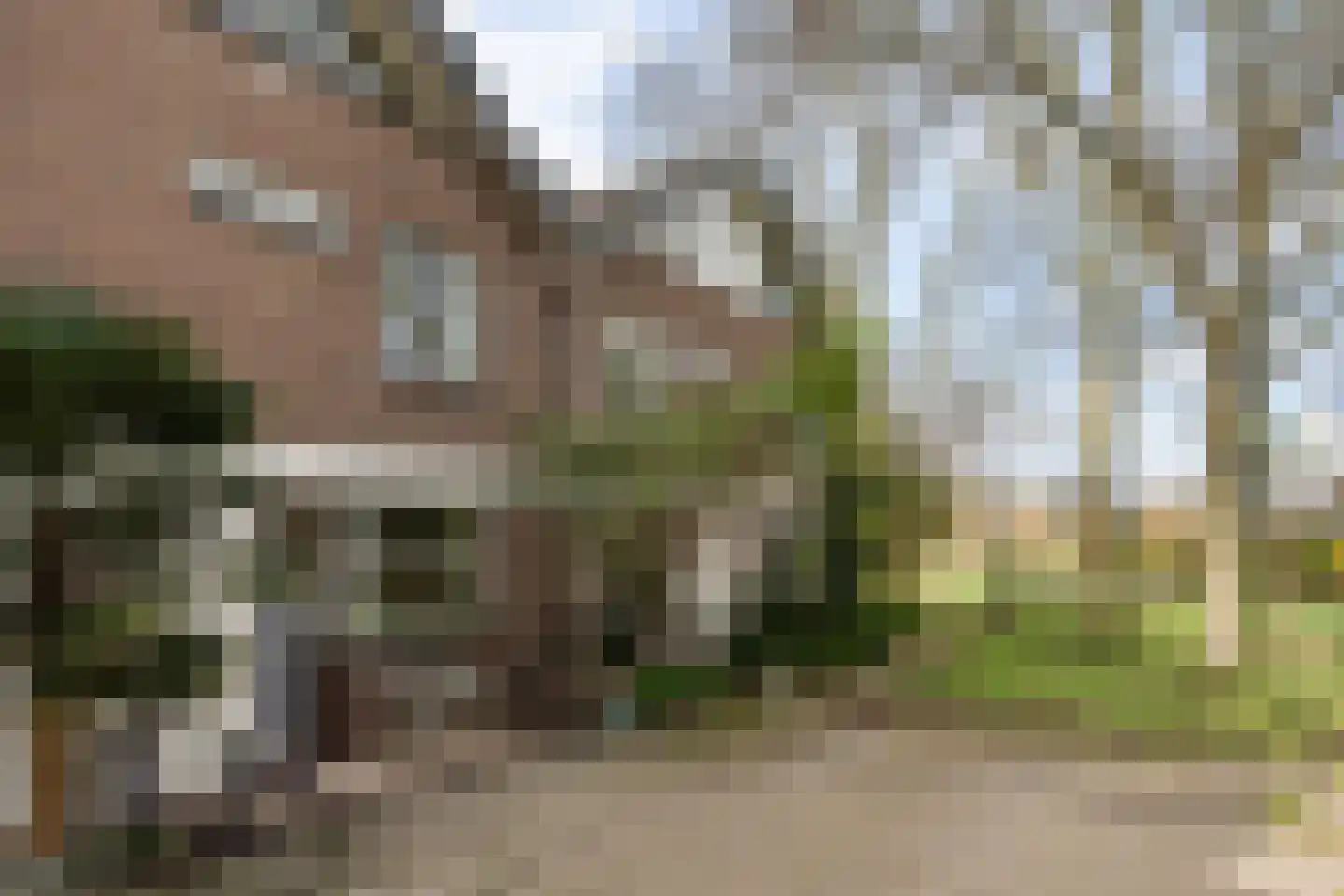 Melissetuin 6 Leiden thumbnail 7