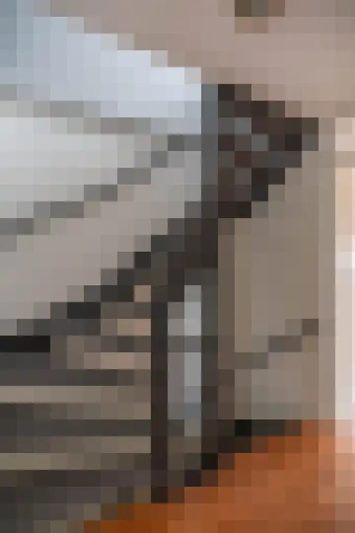 Melisseweg 1 Groningen thumbnail 32