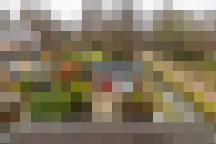 Melisseweg 1 Groningen thumbnail 37