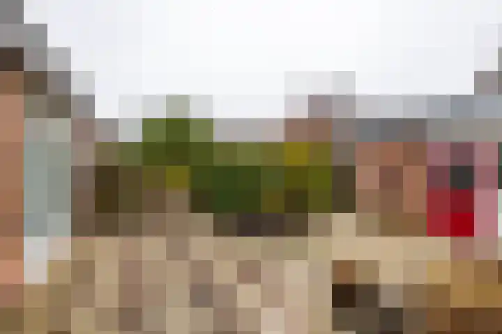 Melisseweg 1 Groningen thumbnail 42