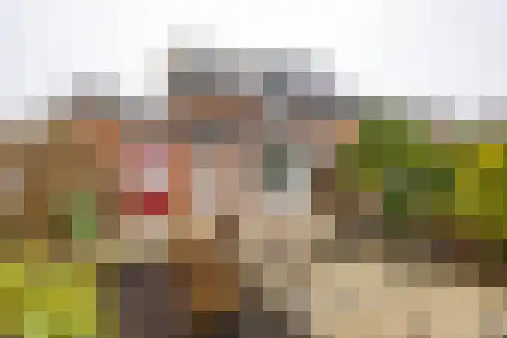 Melisseweg 1 Groningen thumbnail 44