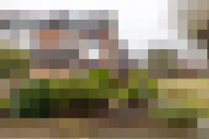 Melisseweg 1 Groningen thumbnail 47