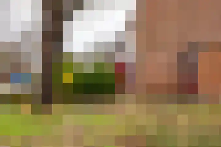 Melisseweg 1 Groningen thumbnail 48
