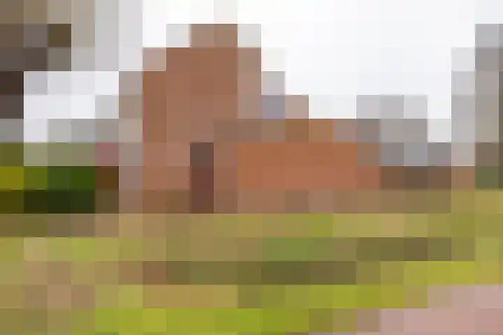 Melisseweg 1 Groningen thumbnail 49
