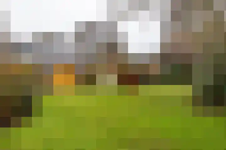 Melisseweg 1 Groningen thumbnail 50