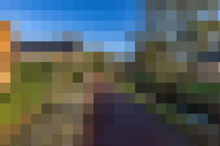 Melisseweg 17 c Groningen thumbnail 36