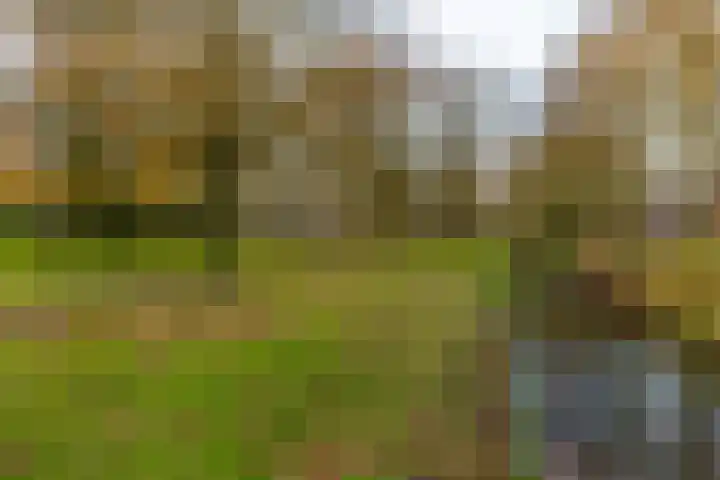 Melisseweg 17 c Groningen thumbnail 37