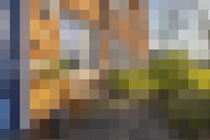 Melisseweg 17 c Groningen thumbnail 4