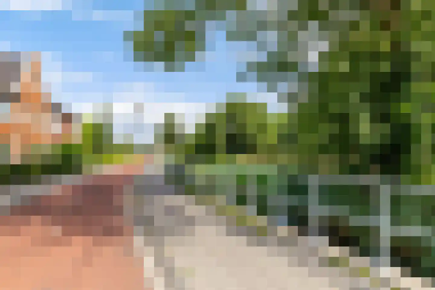 Melisseweg 17 Groningen thumbnail 43
