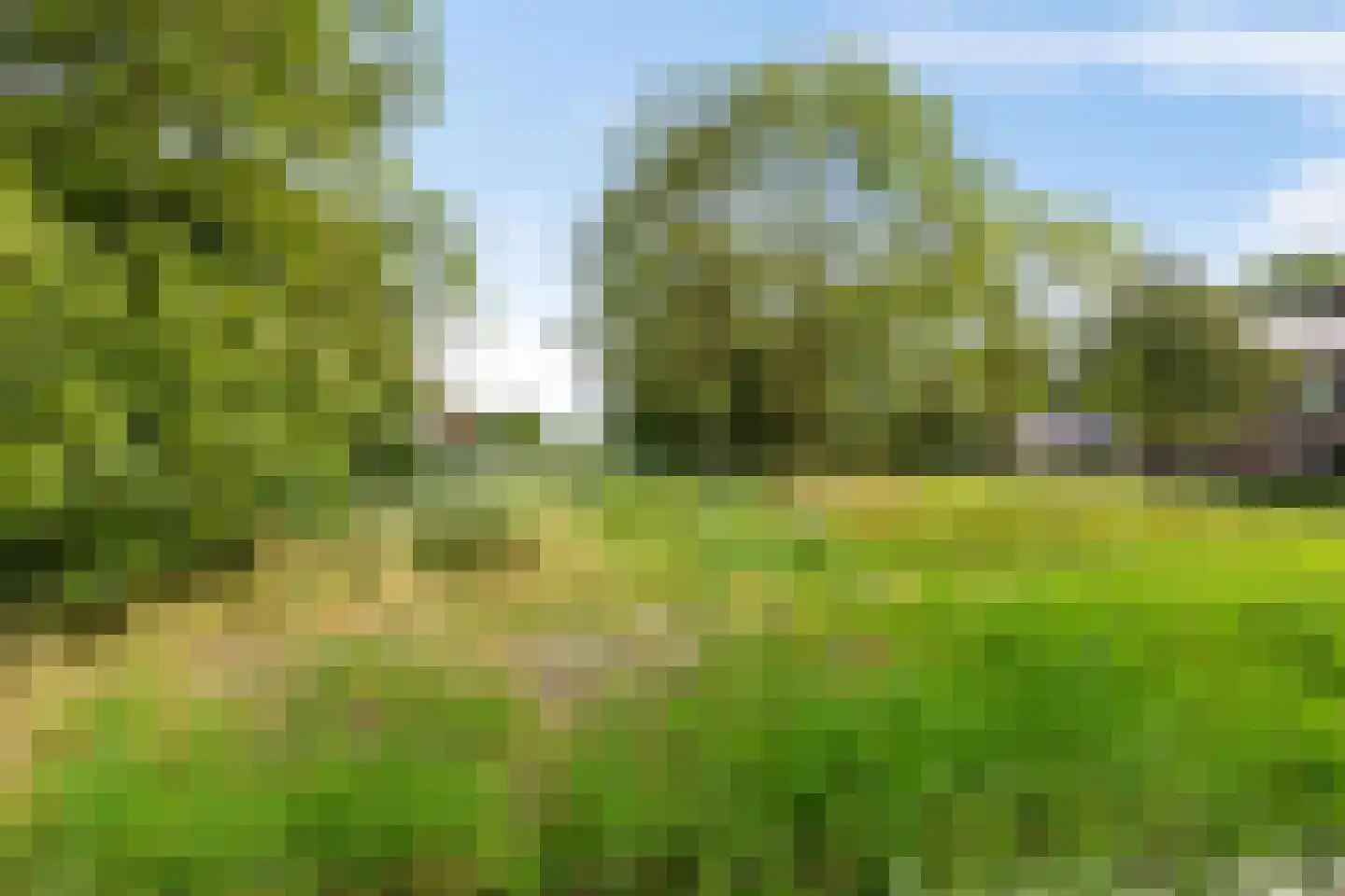 Melisseweg 17 Groningen thumbnail 44