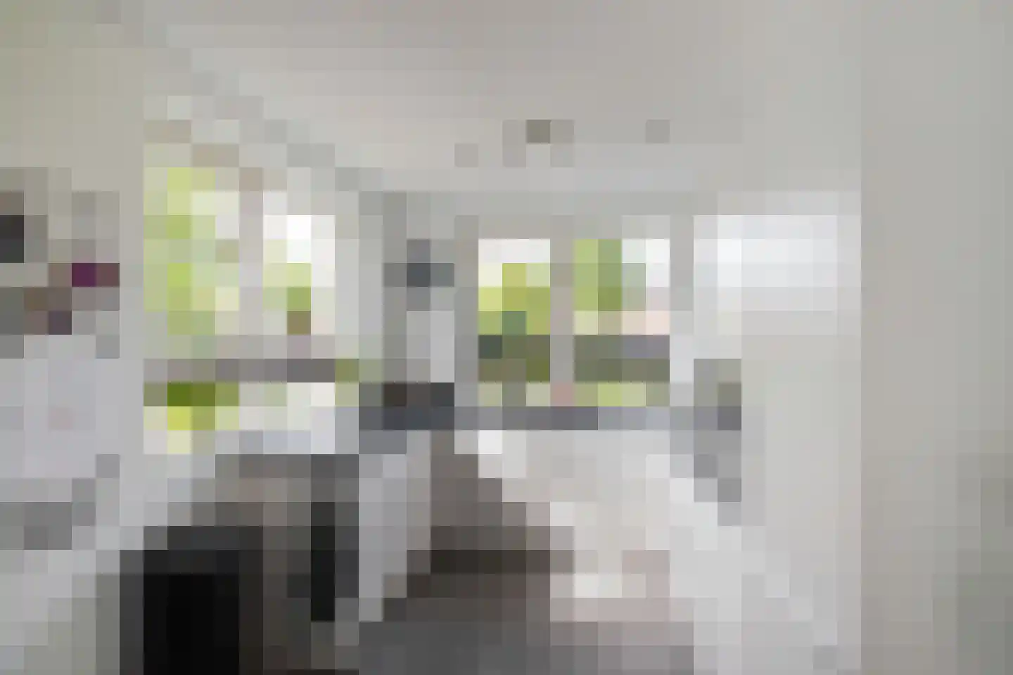 Melisseweg 17 Groningen thumbnail 8