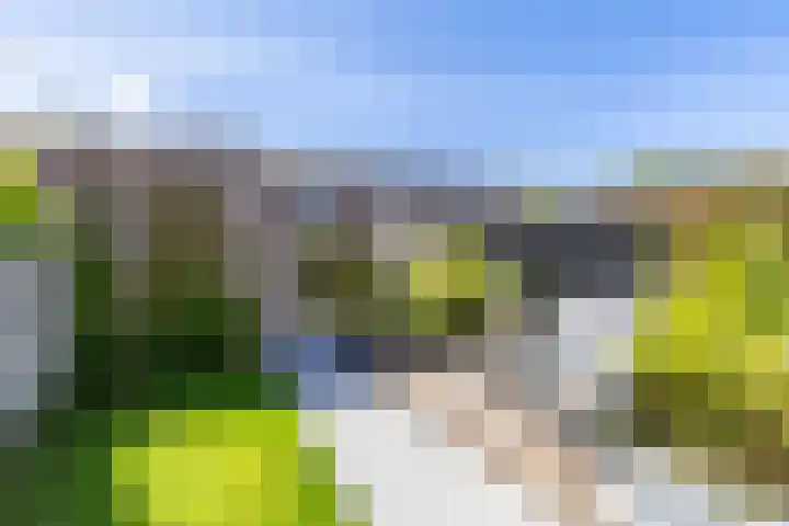 Melisseweg 17 k Groningen thumbnail 16