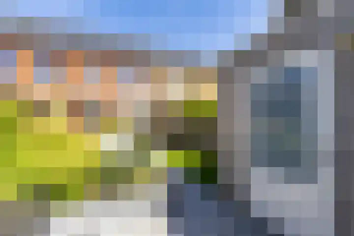 Melisseweg 17 k Groningen thumbnail 17
