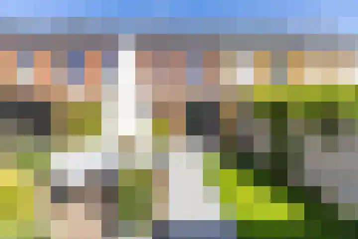 Melisseweg 17 k Groningen thumbnail 18