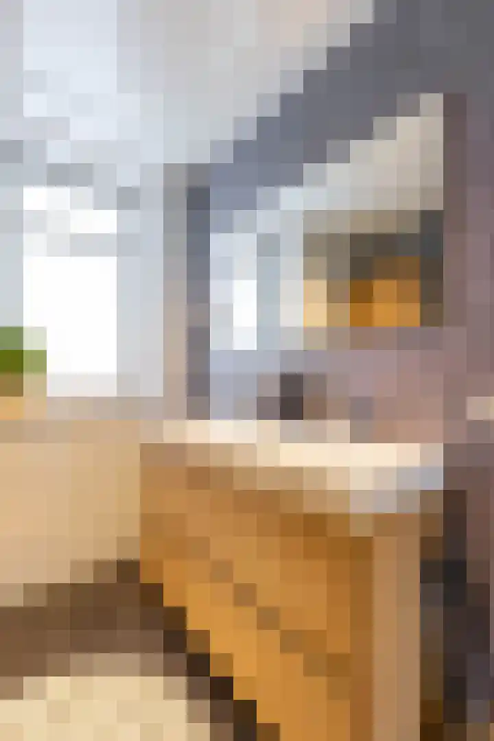 Melisseweg 17 k Groningen thumbnail 31