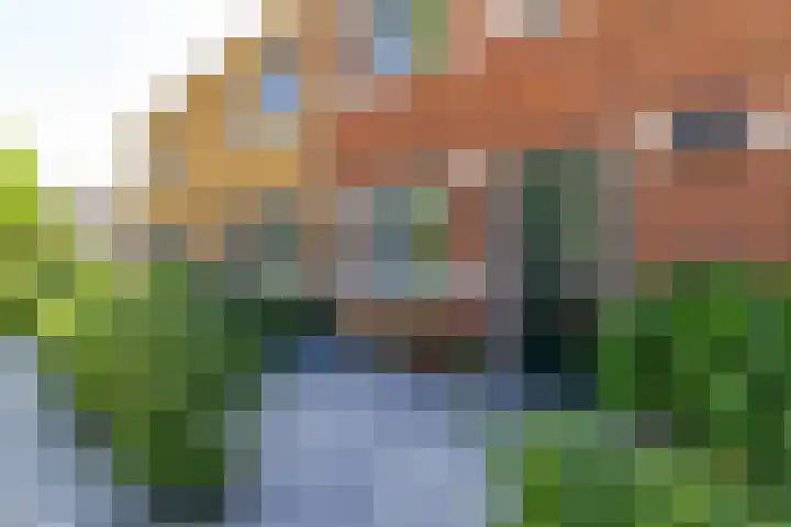 Melisseweg 17 k Groningen thumbnail 4