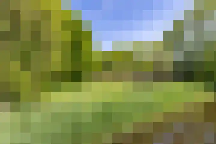 Melisseweg 17 k Groningen thumbnail 43